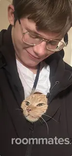 Roommate looking Rancho Cordova, CA, $800