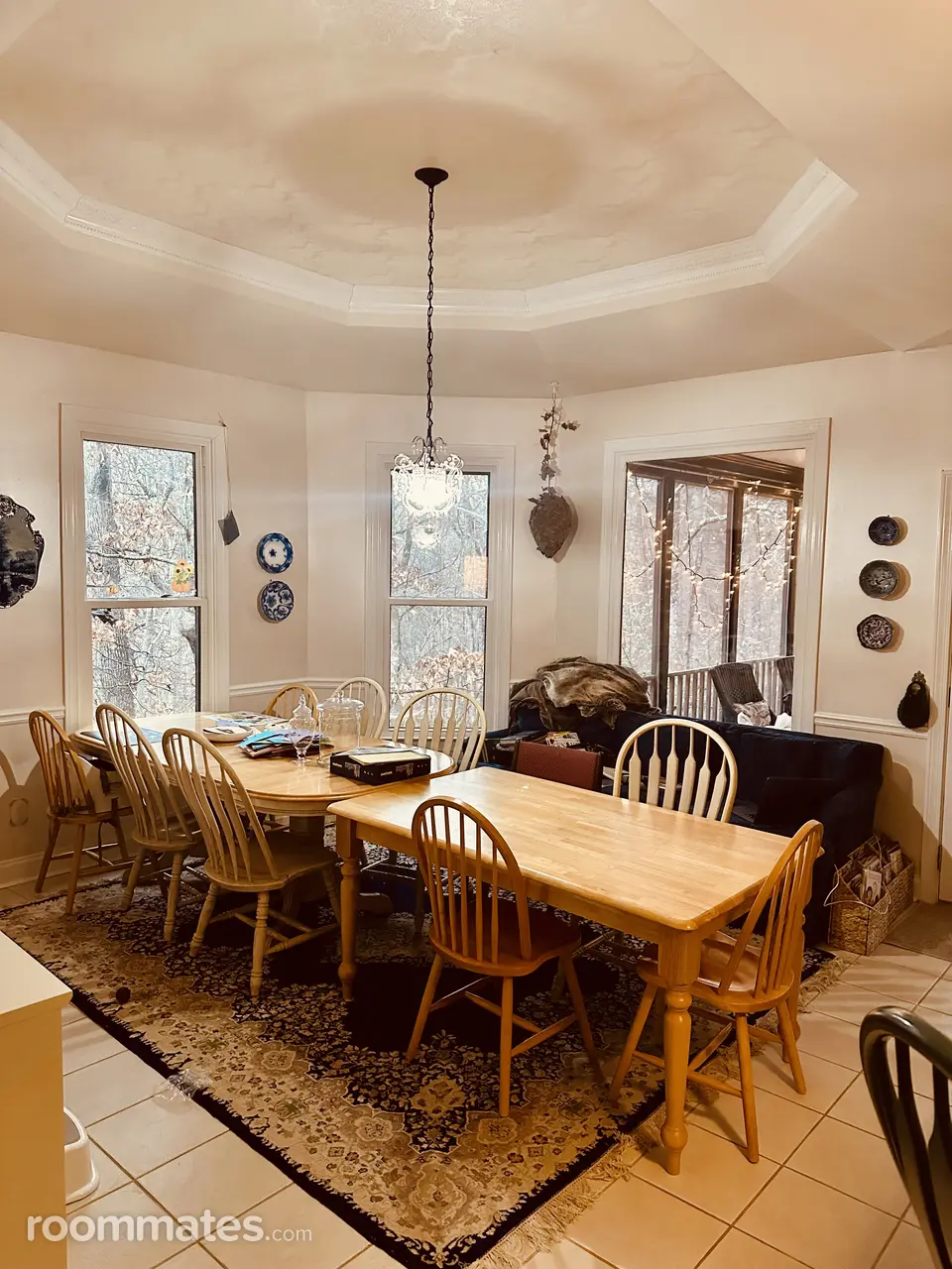 Profile photo 6 of 12