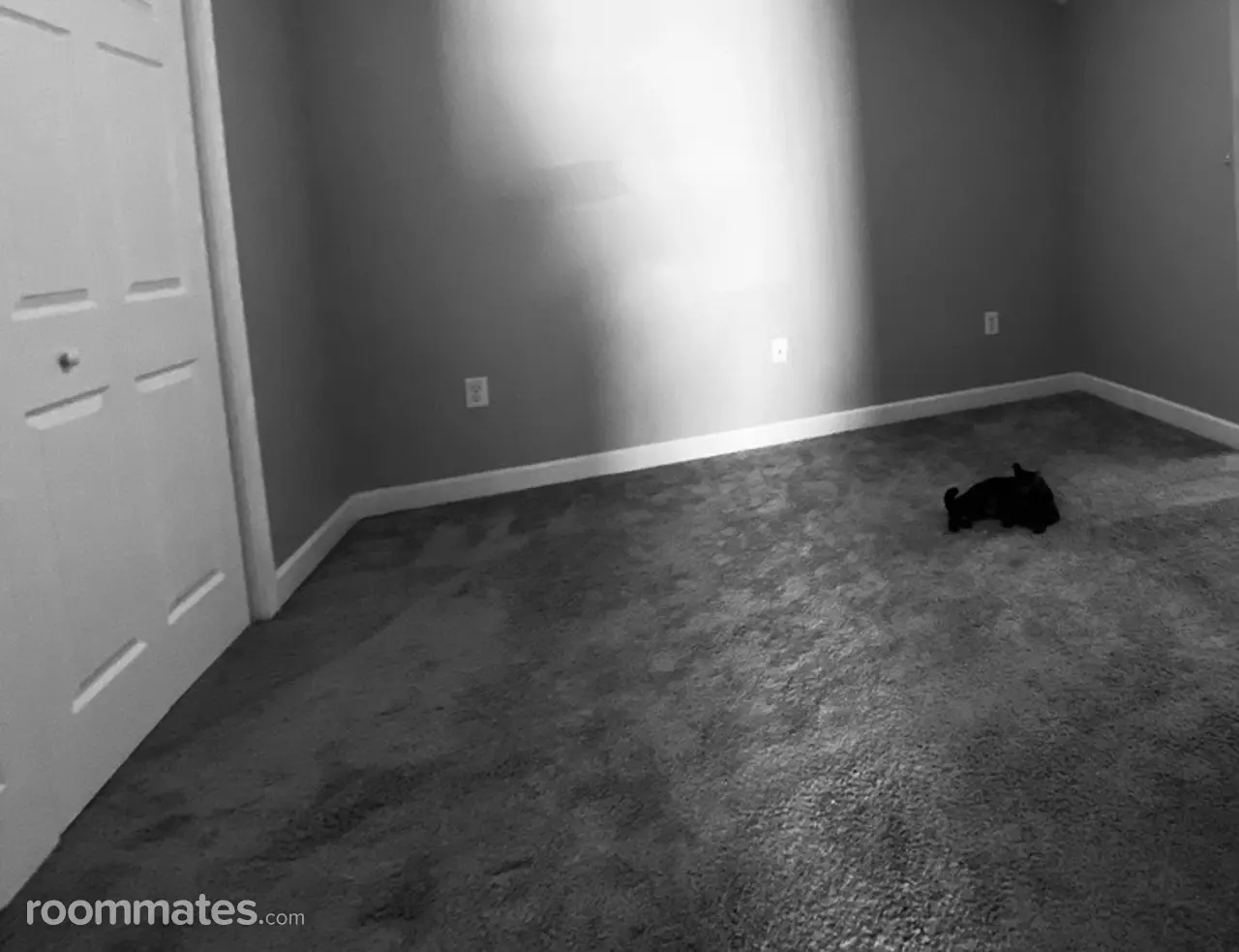 Profile photo 2 of 4