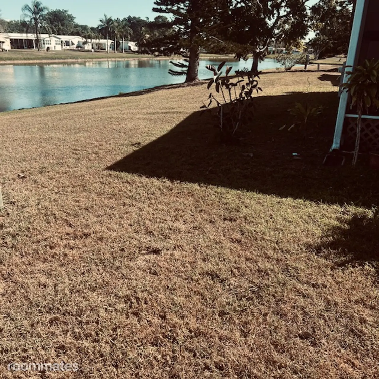 Profile photo 4 of 5