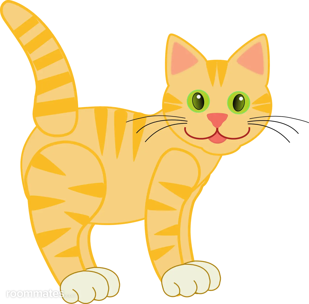 Profile photo 1 of 1