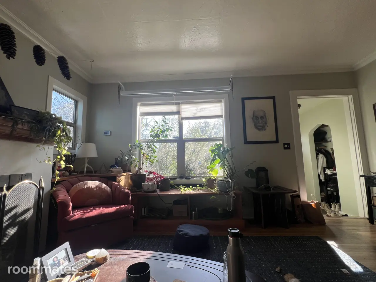 Profile photo 9 of 10