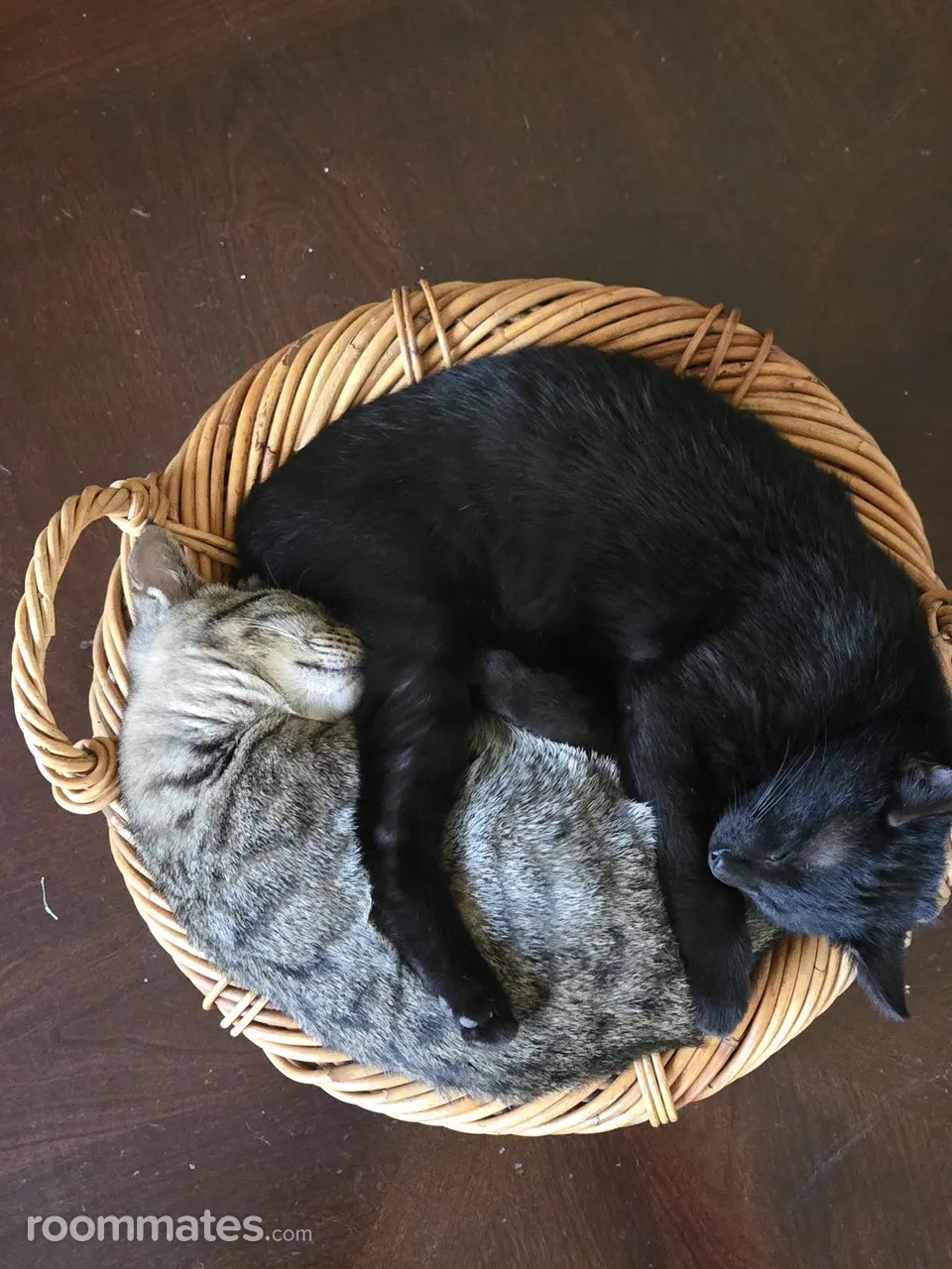 Profile photo 6 of 6