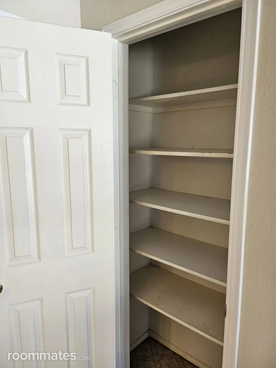 Profile photo 4 of 11