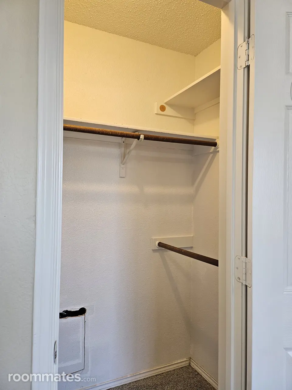 Profile photo 3 of 11