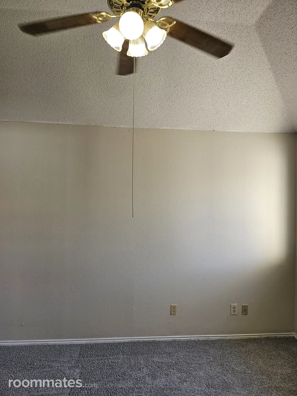 Profile photo 9 of 11