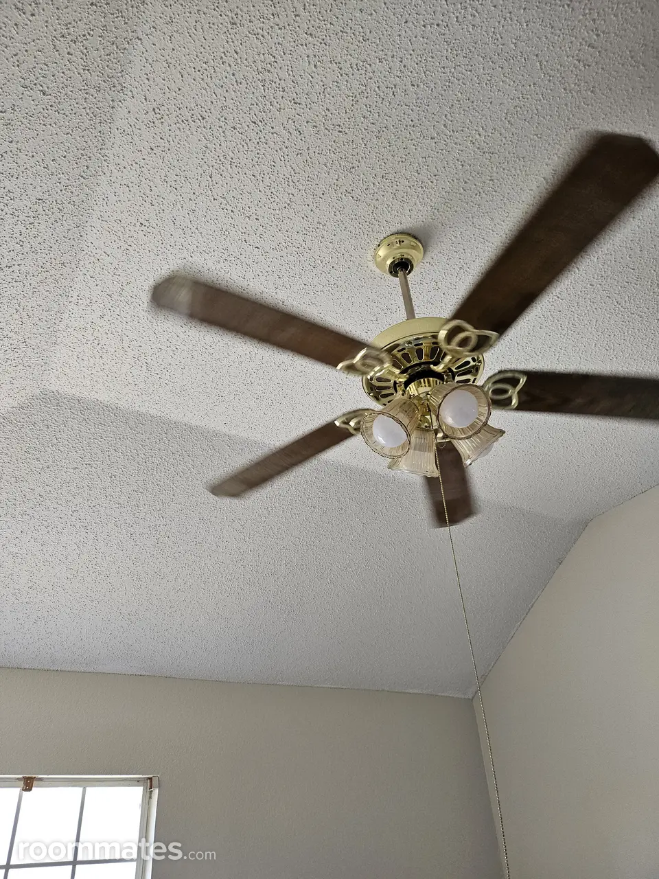 Profile photo 10 of 11