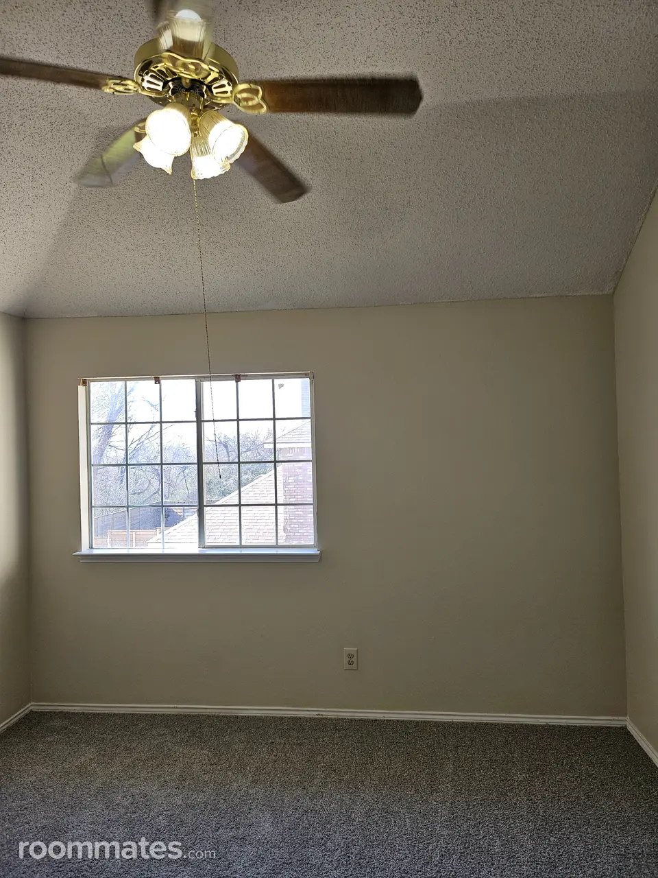 Profile photo 5 of 11