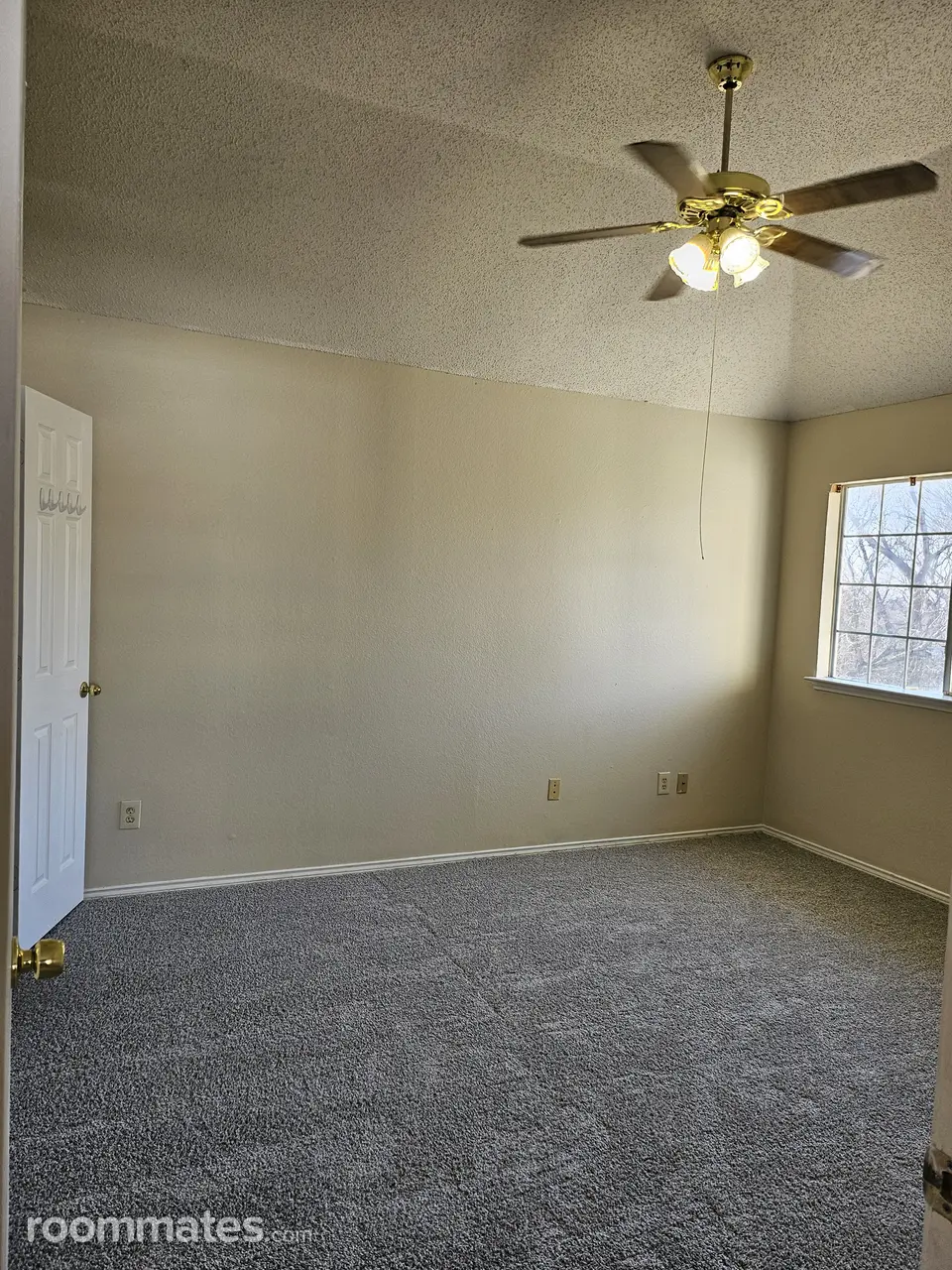 Profile photo 8 of 11