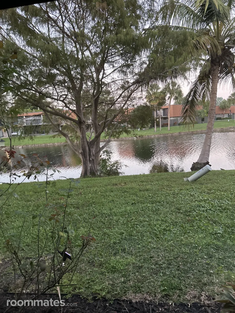 Profile photo 2 of 9