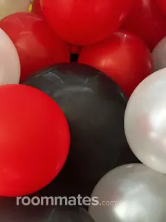 Roommate looking Camden, SC, $2000