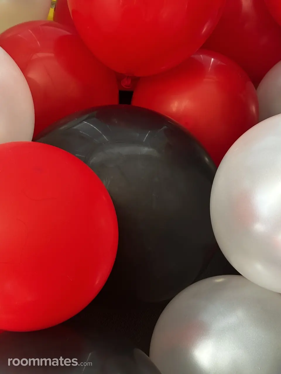 Profile photo 1 of 1