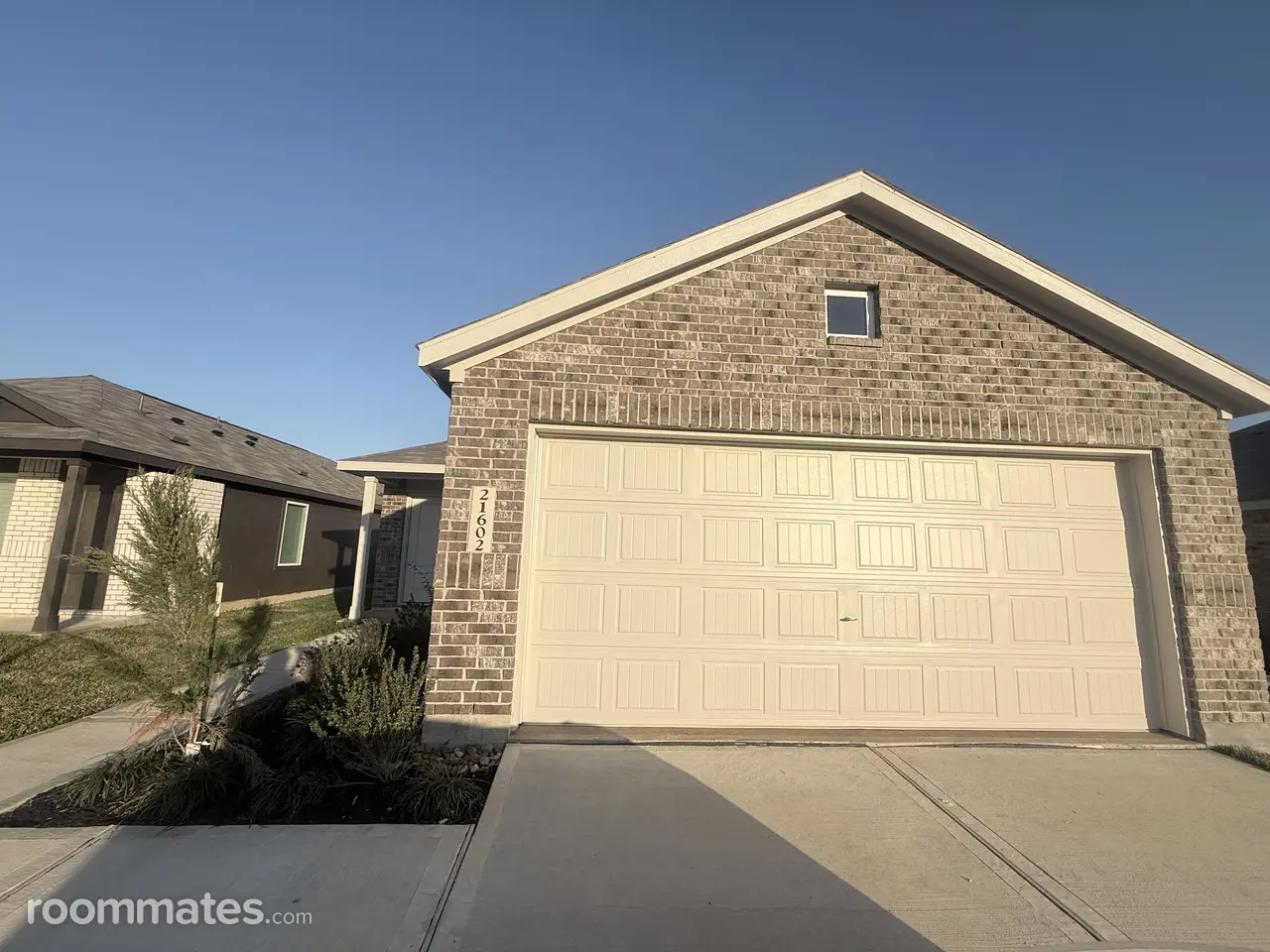 Profile photo 7 of 8