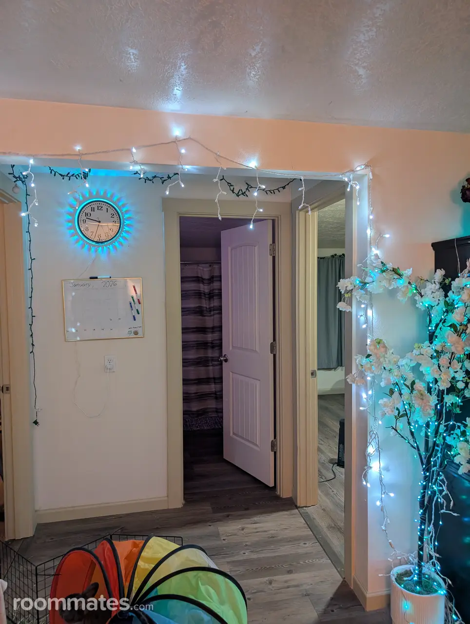 Profile photo 4 of 5