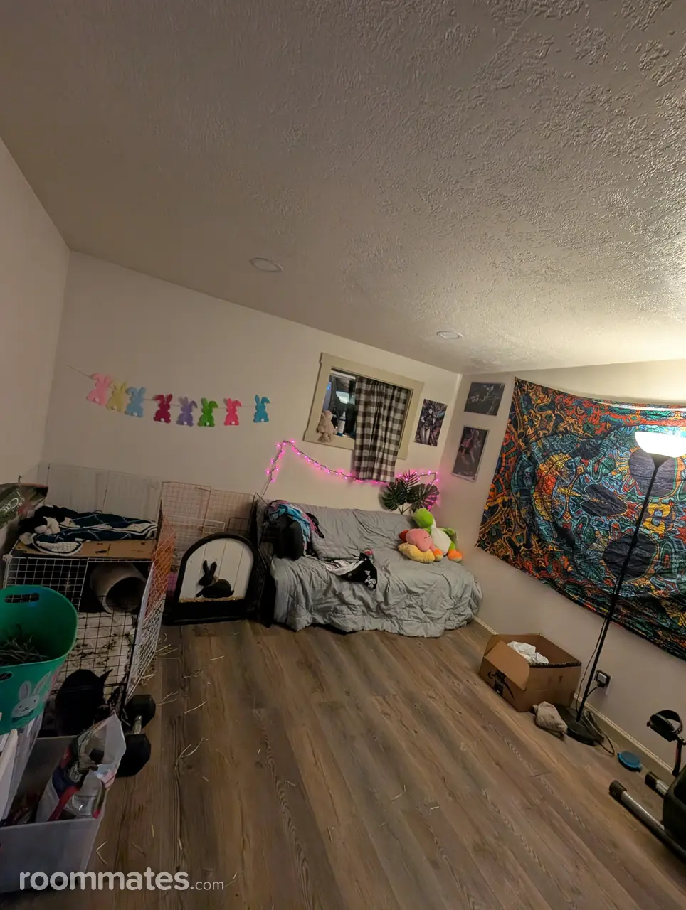 Profile photo 3 of 5