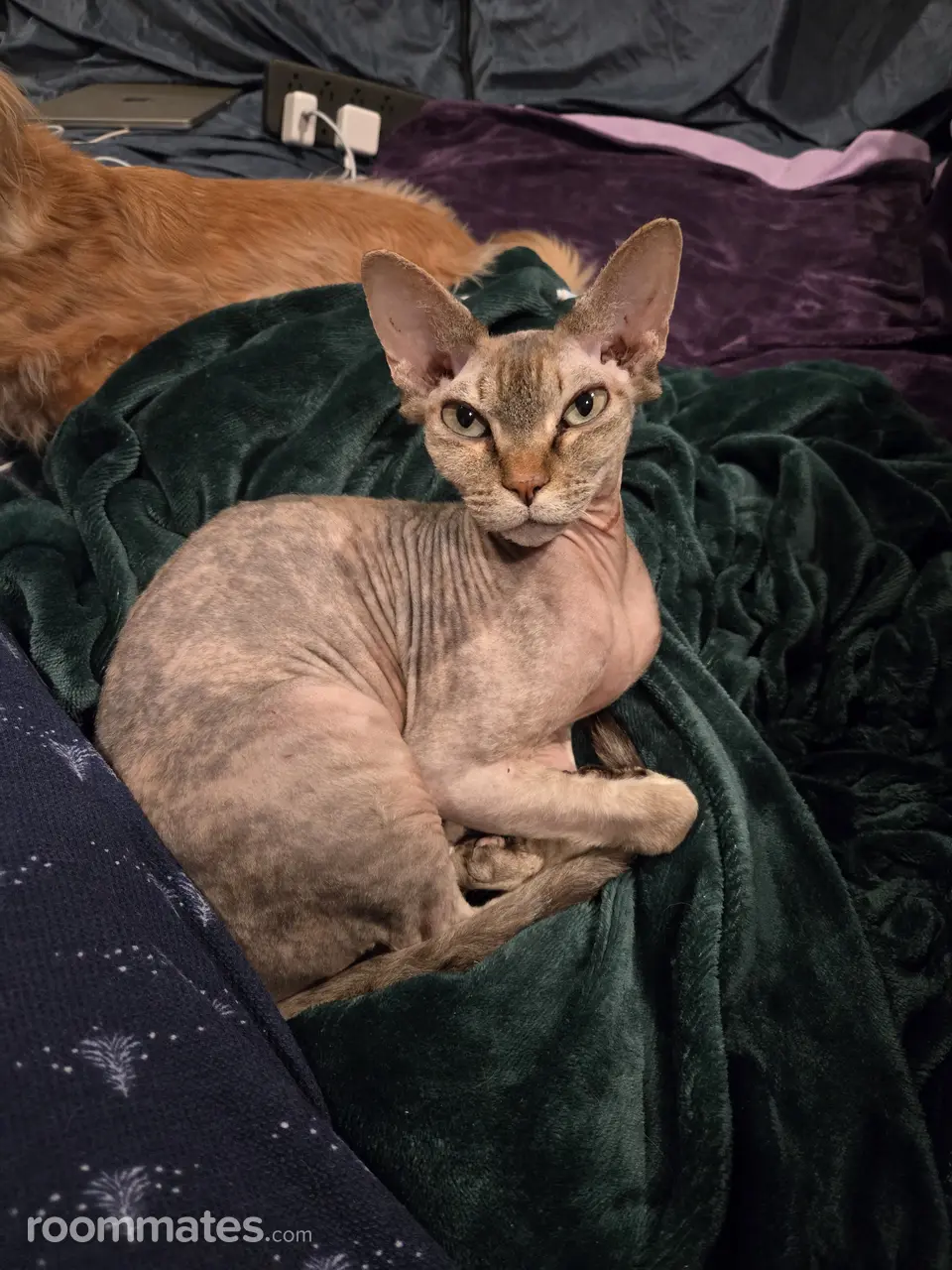 Profile photo 5 of 6