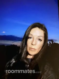 Roommate looking Pontiac, MI, $600