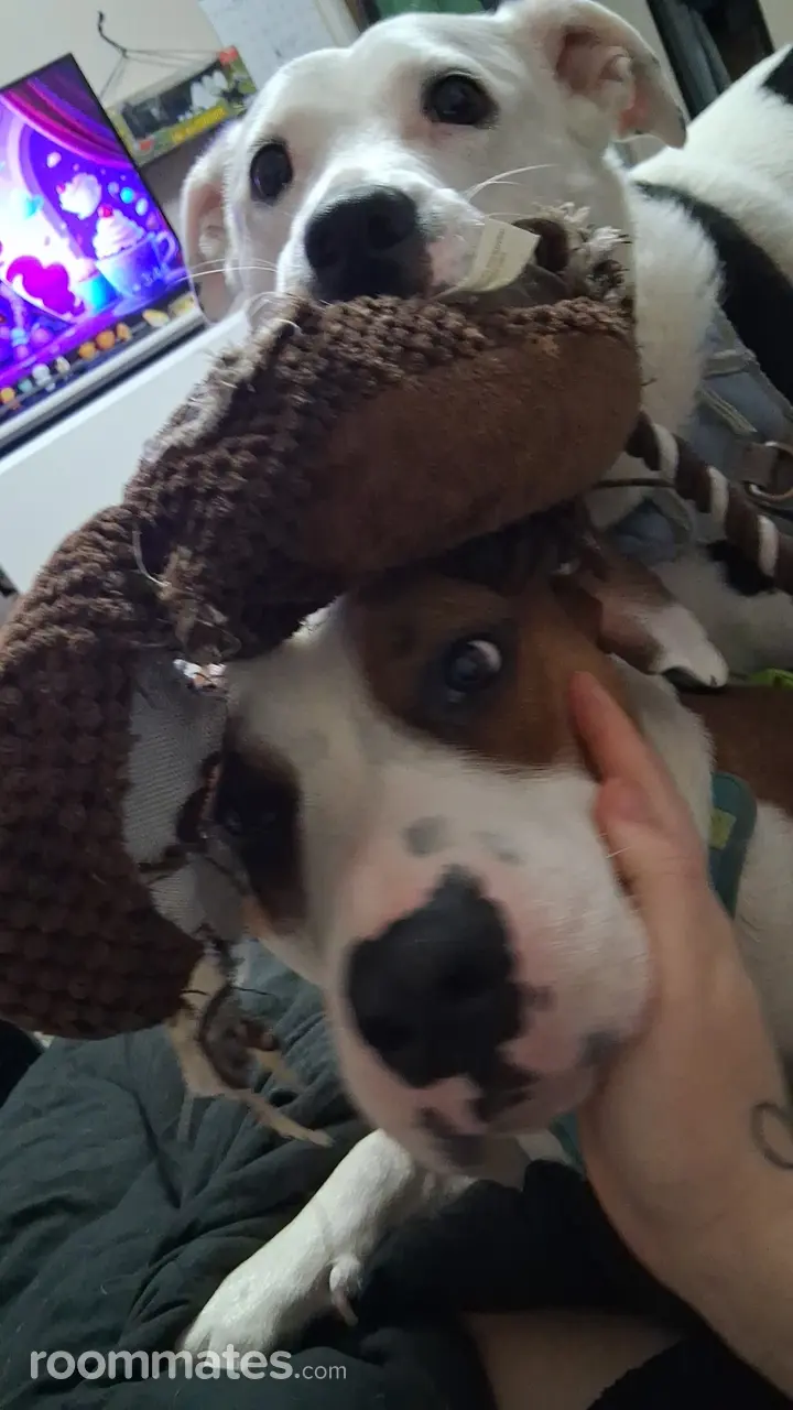 Profile photo 4 of 5