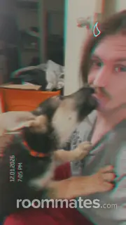 Roommate looking Tucson, AZ, $400