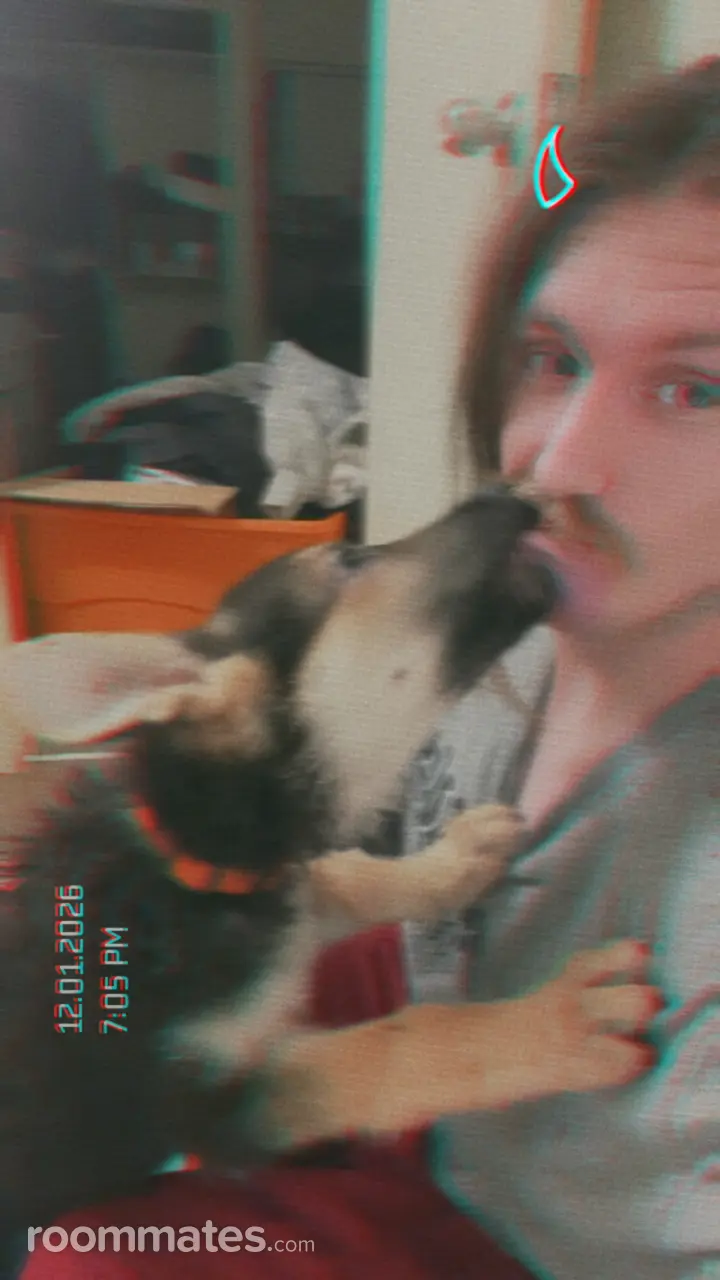 Profile photo 1 of 1