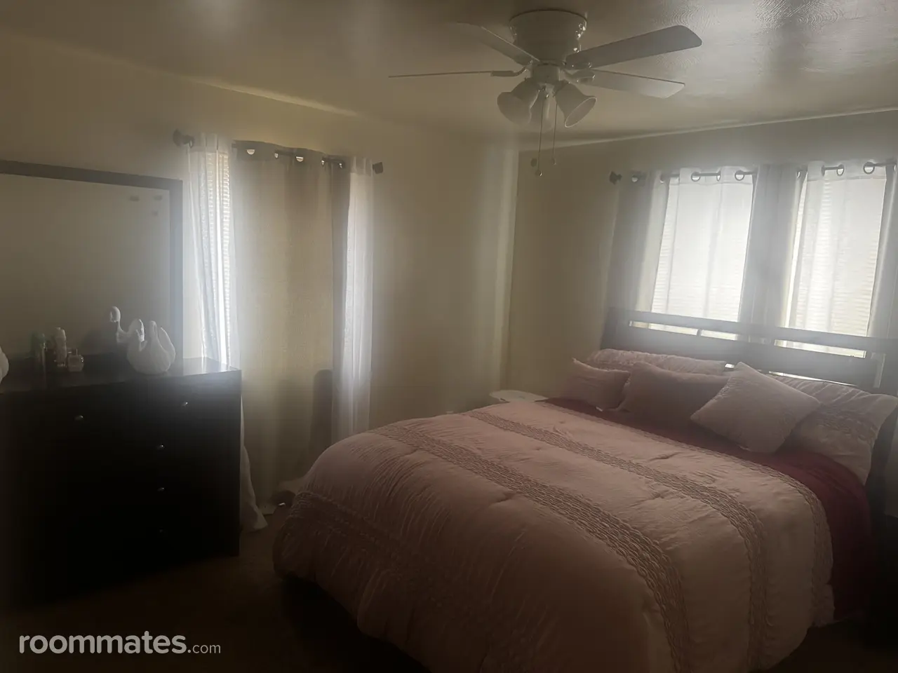 Profile photo 3 of 8