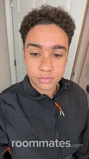 Roommate looking Columbus, IN, $800