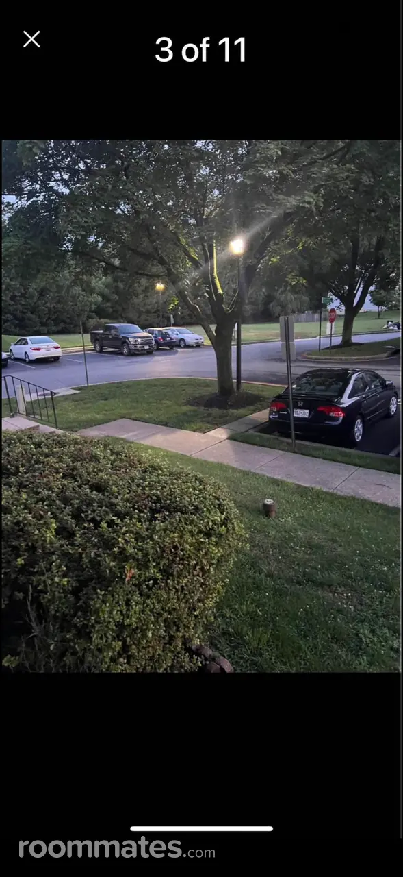 Profile photo 10 of 11