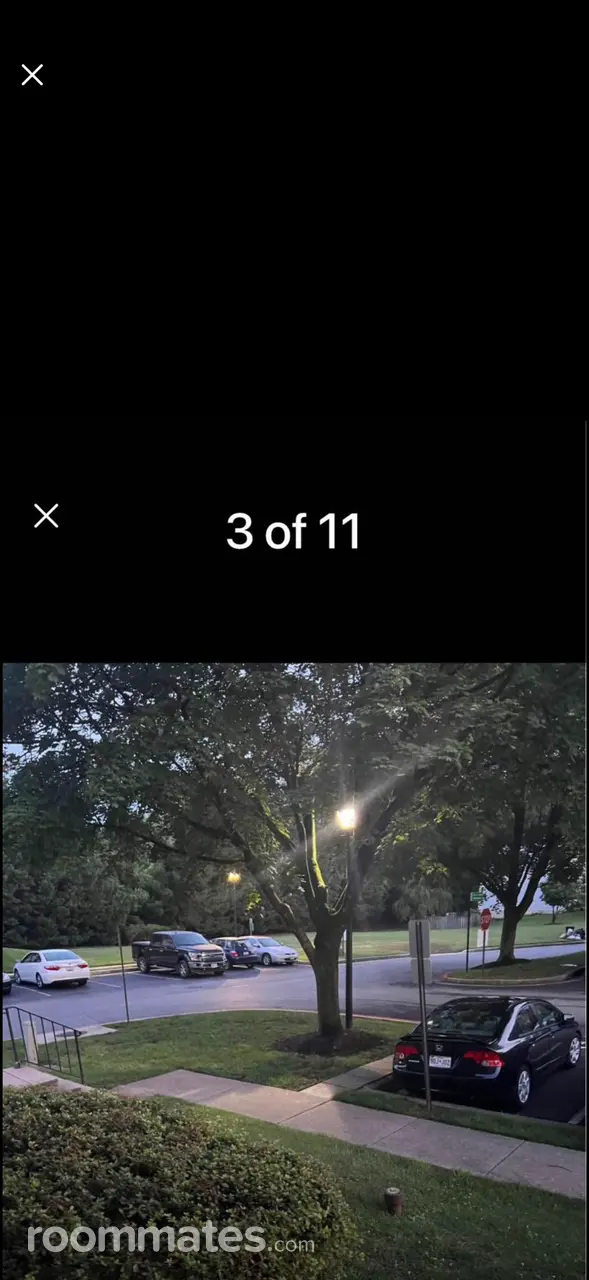 Profile photo 9 of 11