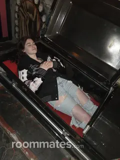 Roommate looking Cleveland, OH, $500