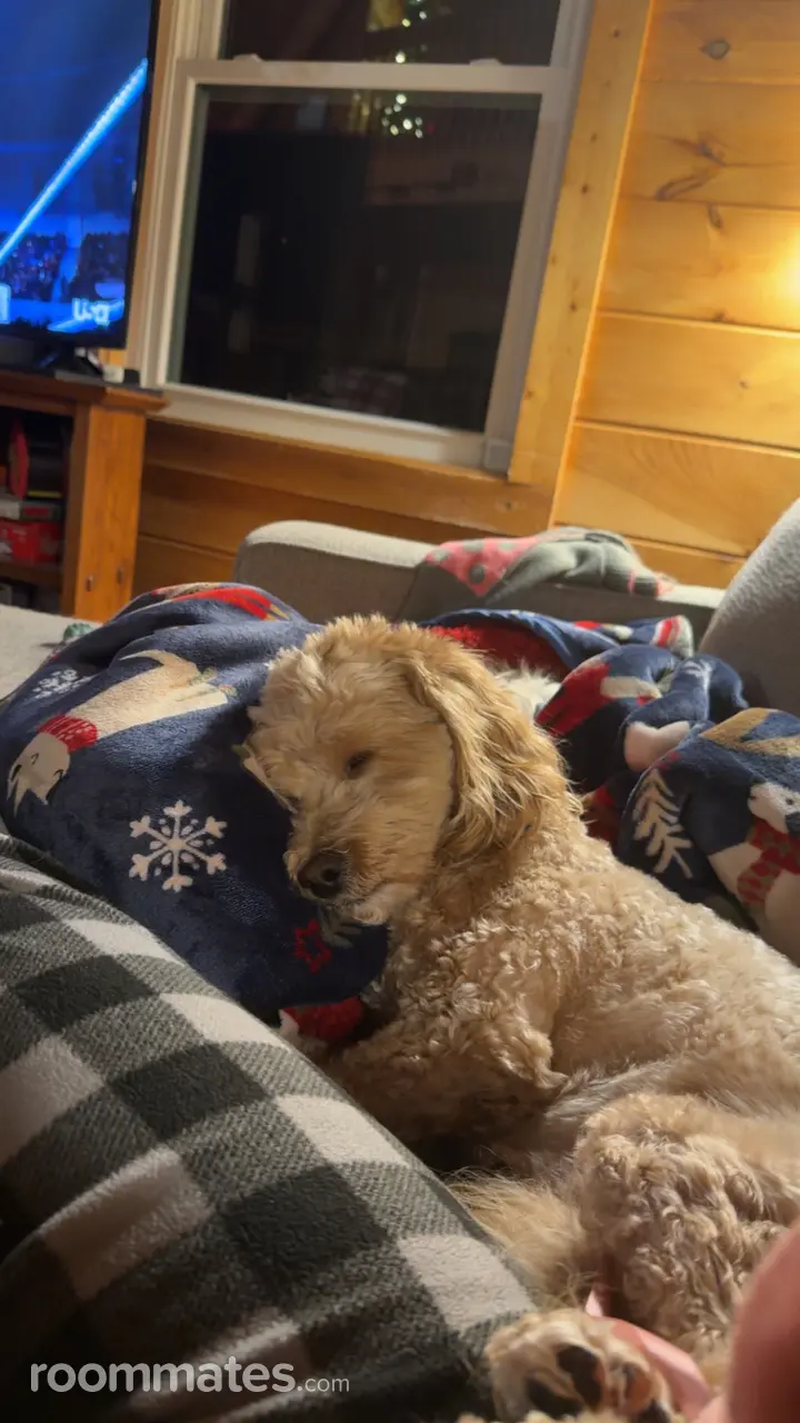 Profile photo 2 of 3