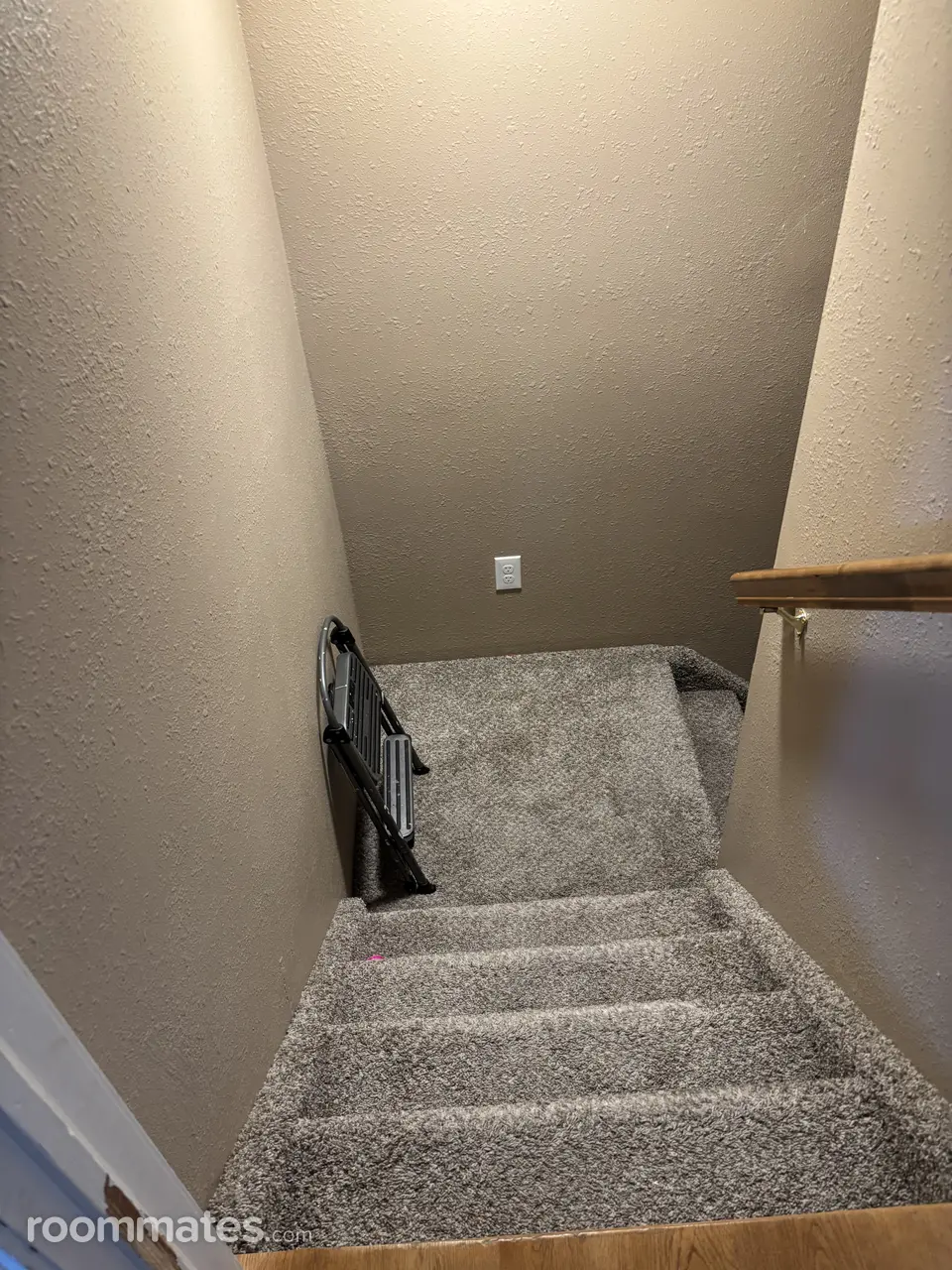 Profile photo 10 of 11