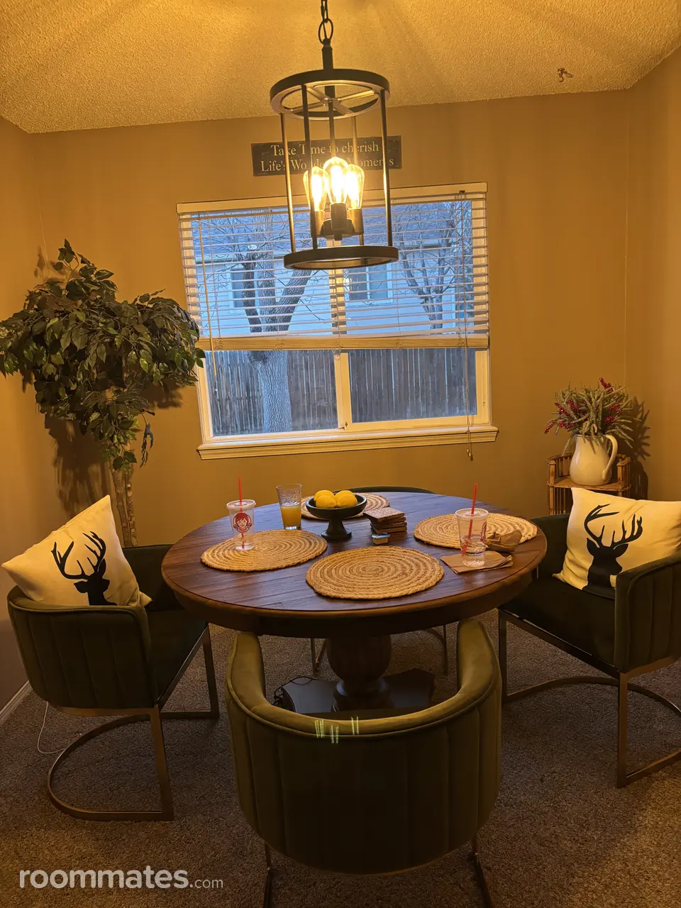 Profile photo 7 of 11