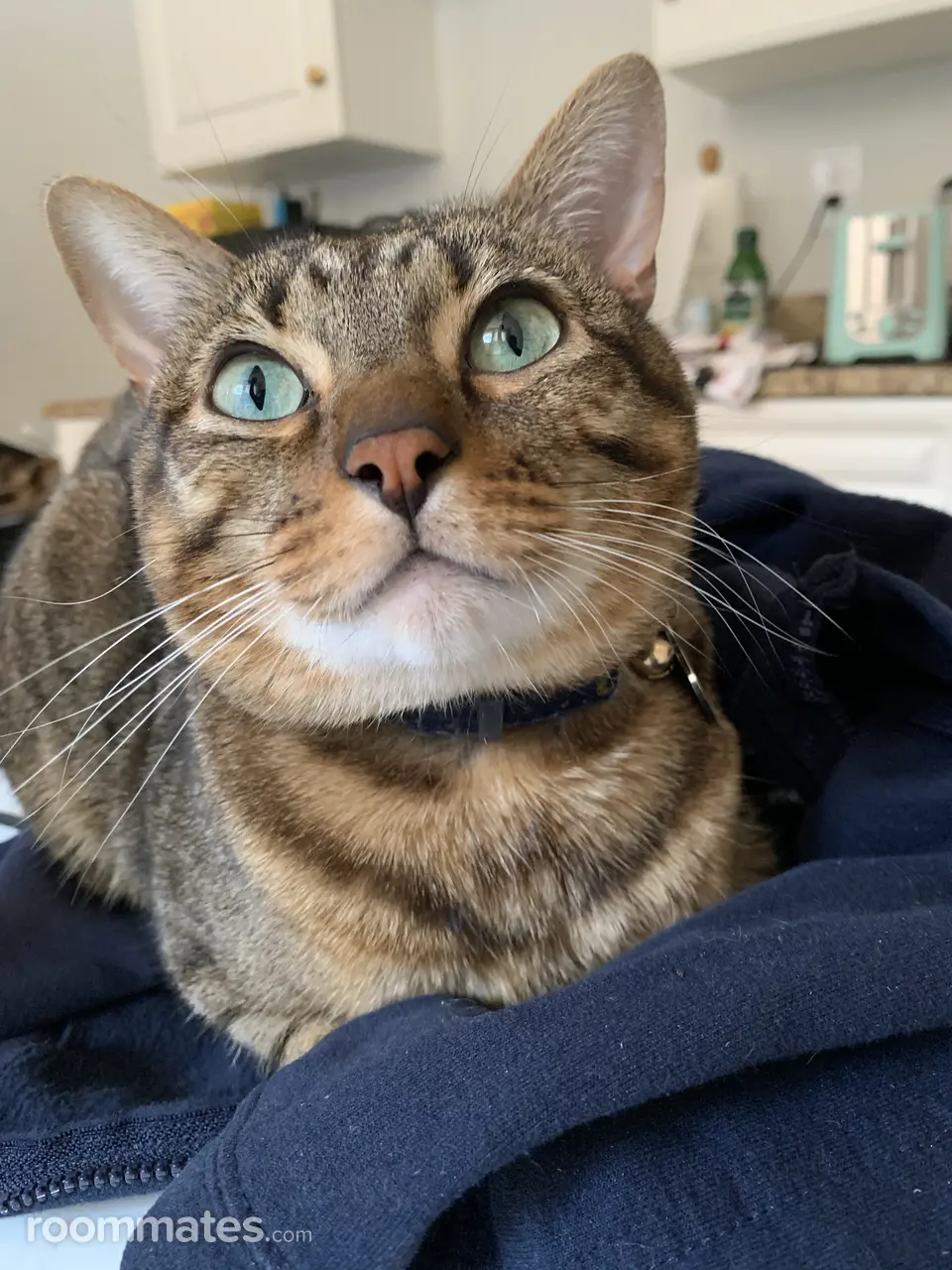 Profile photo 7 of 12