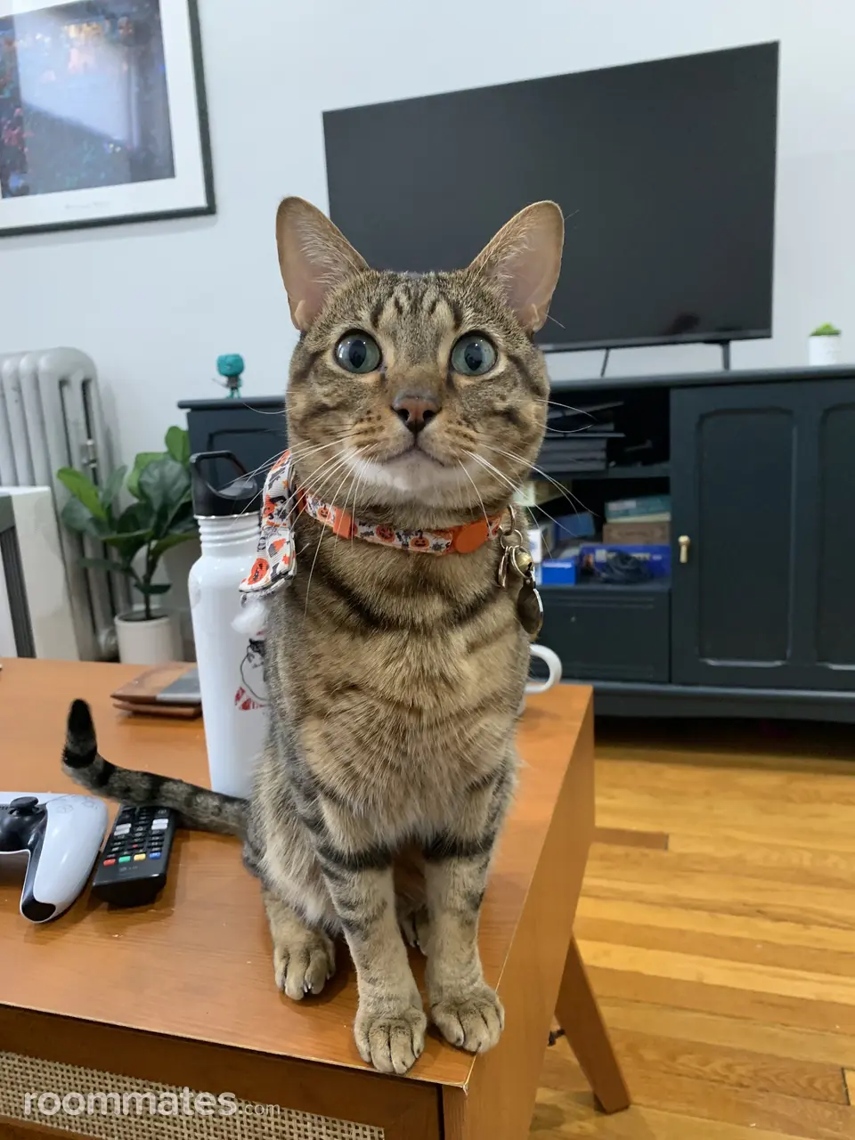 Profile photo 6 of 12