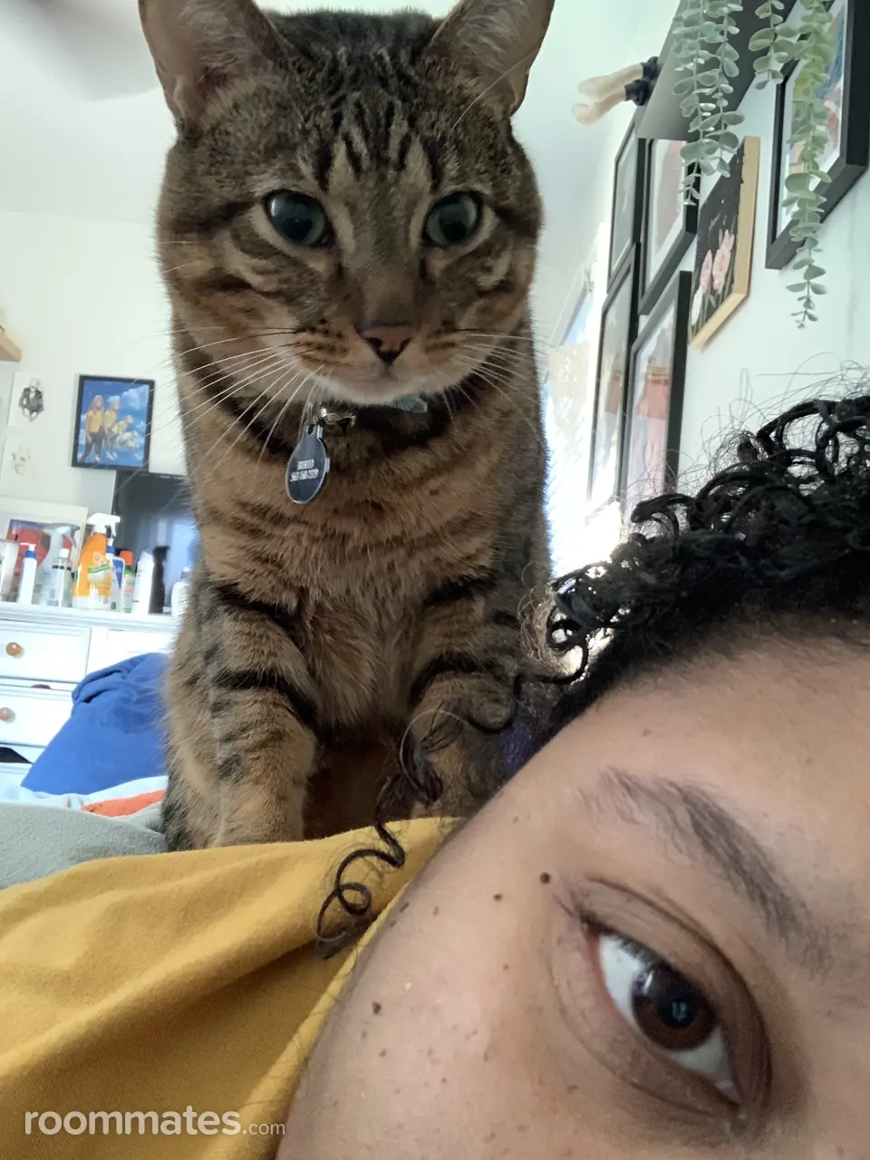 Profile photo 11 of 12