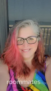 Roommate looking Seminole, FL, $1000