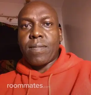 Roommate looking Leawood, KS, $1200