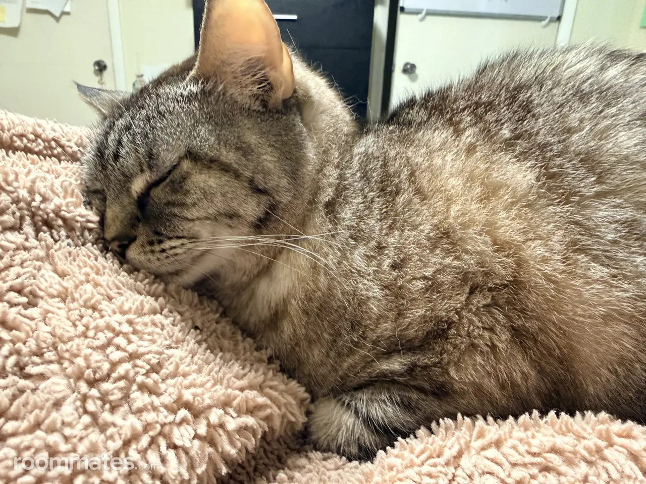 Profile photo 8 of 8