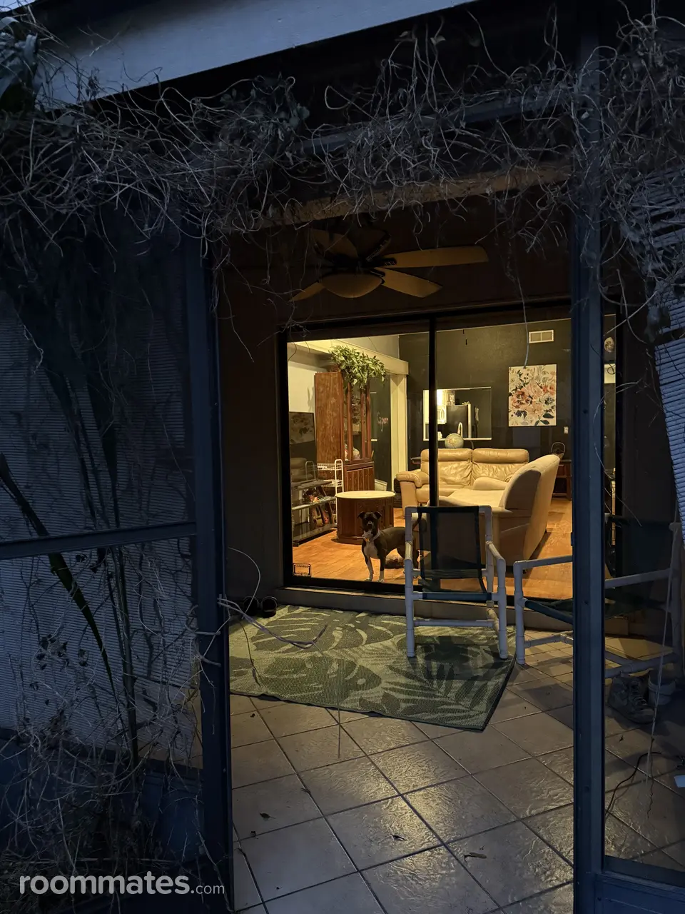 Profile photo 6 of 10