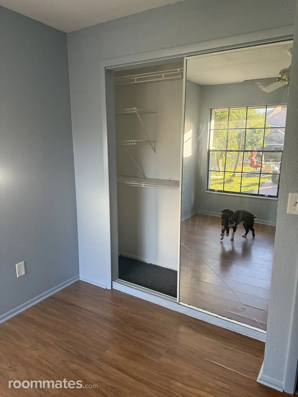 Profile photo 4 of 8