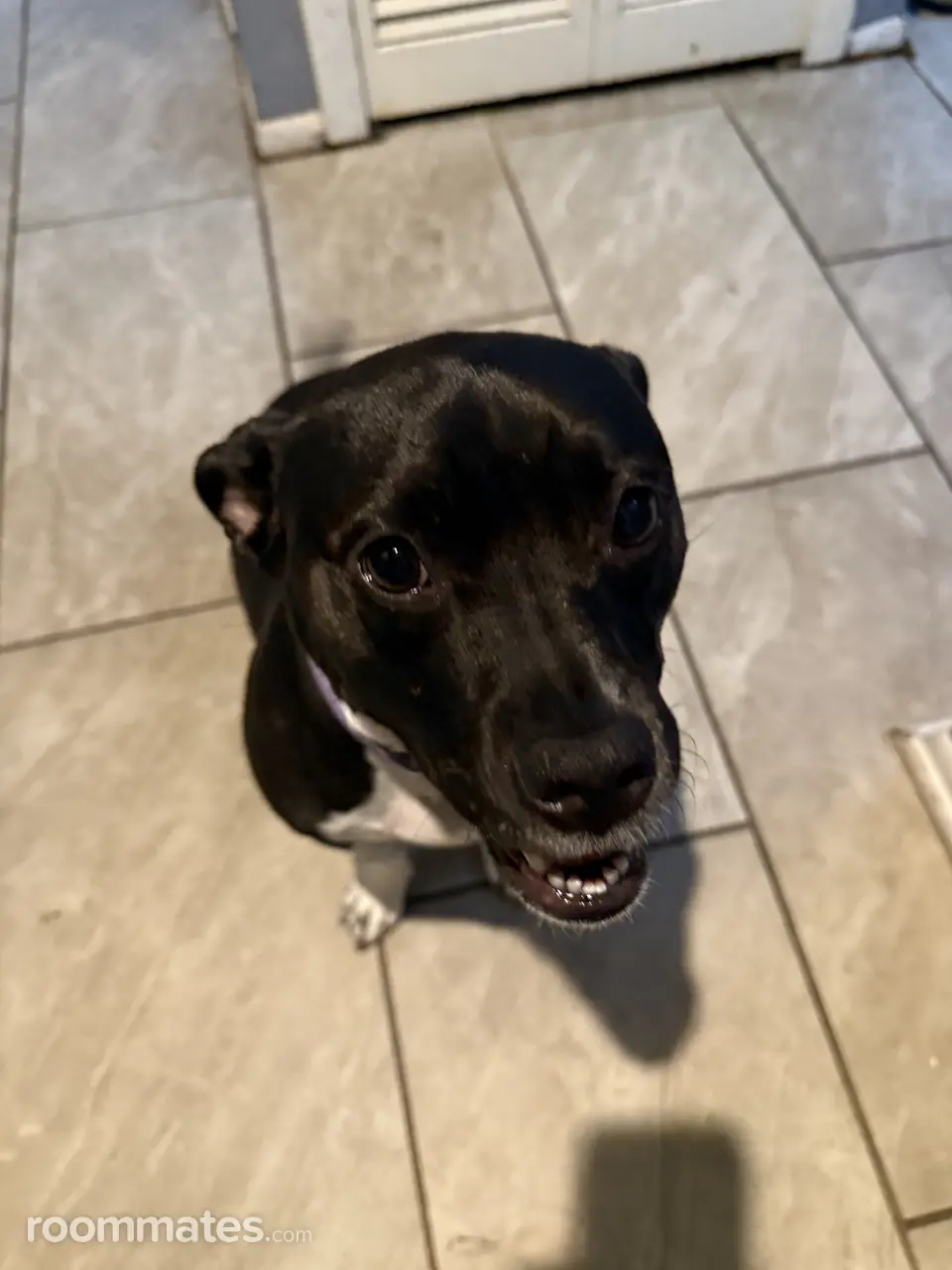 Profile photo 8 of 8