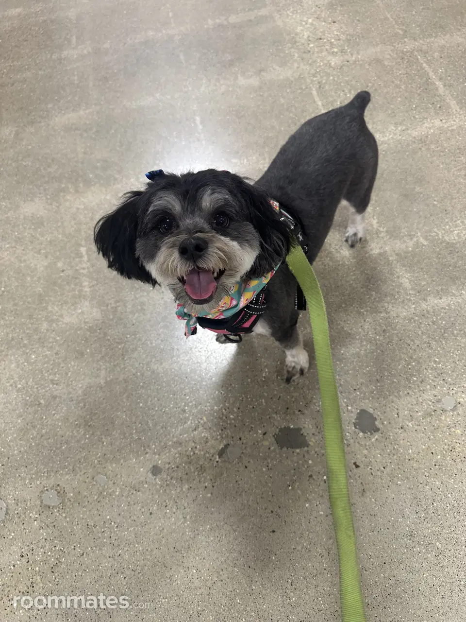 Profile photo 4 of 11