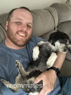 Roommate looking Palatine, IL, $1100