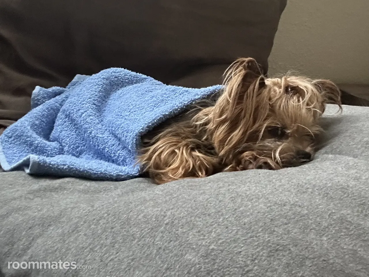 Profile photo 7 of 7