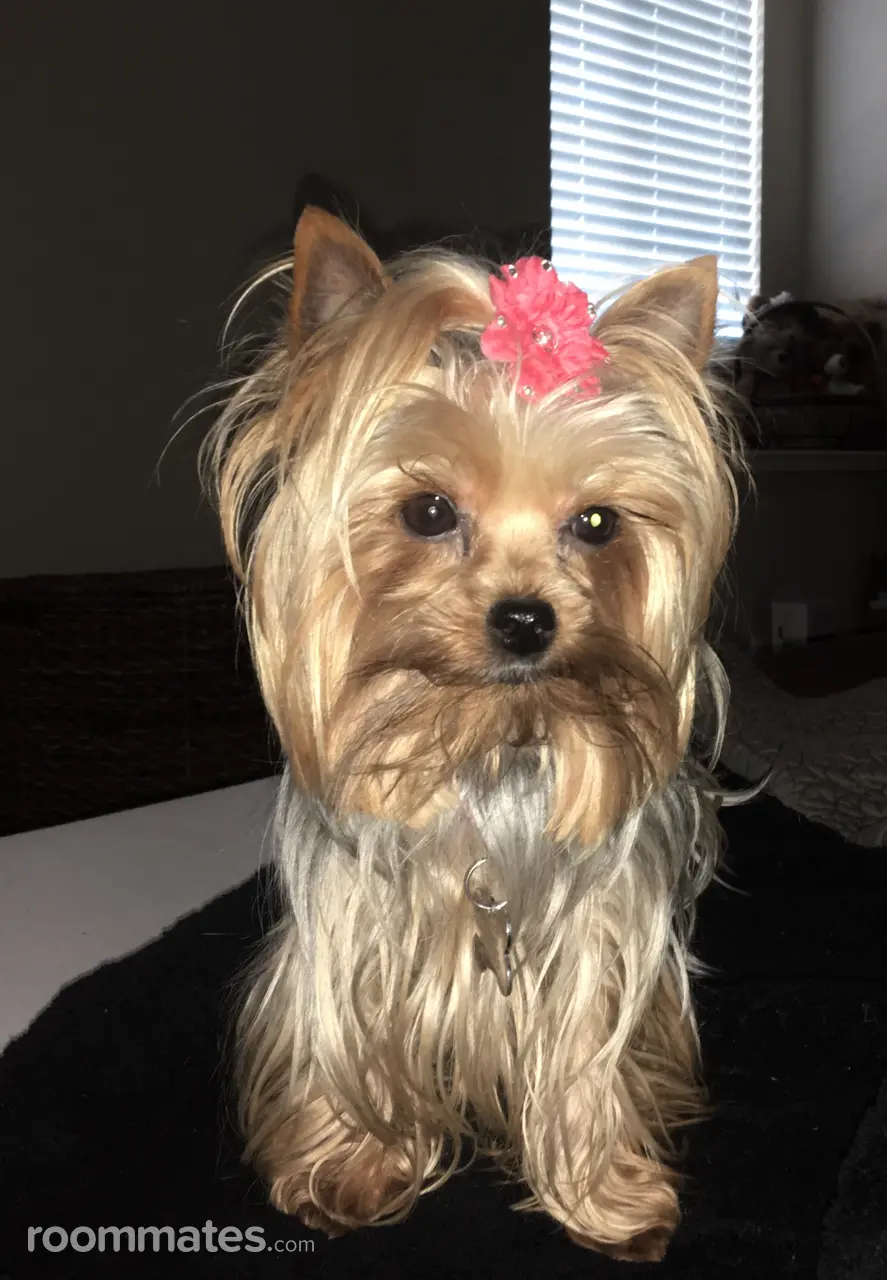 Profile photo 6 of 7