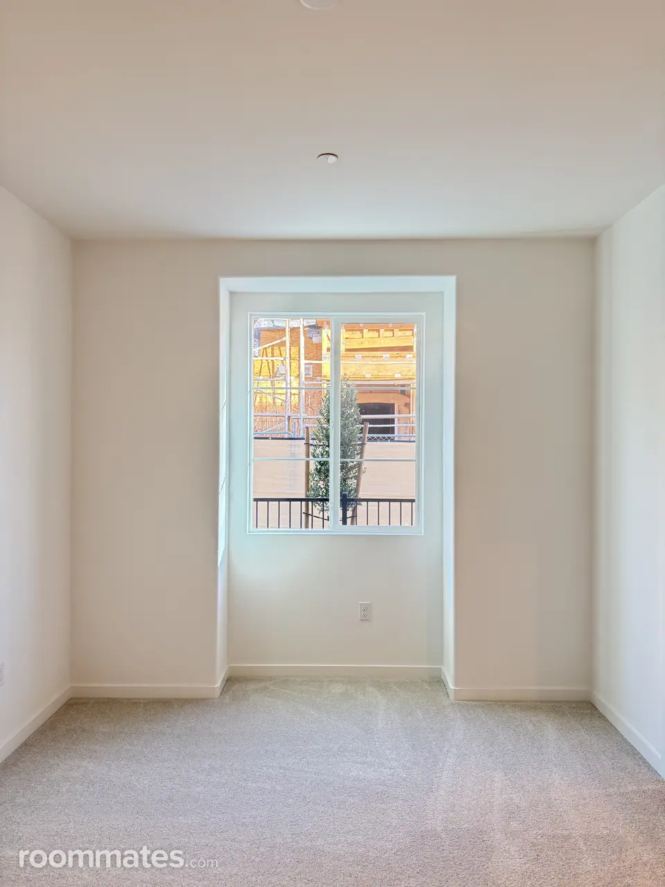 Profile photo 9 of 11