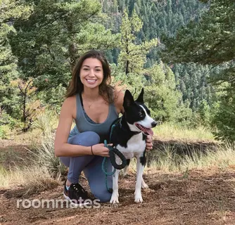 Roommate looking Plano, TX, $800