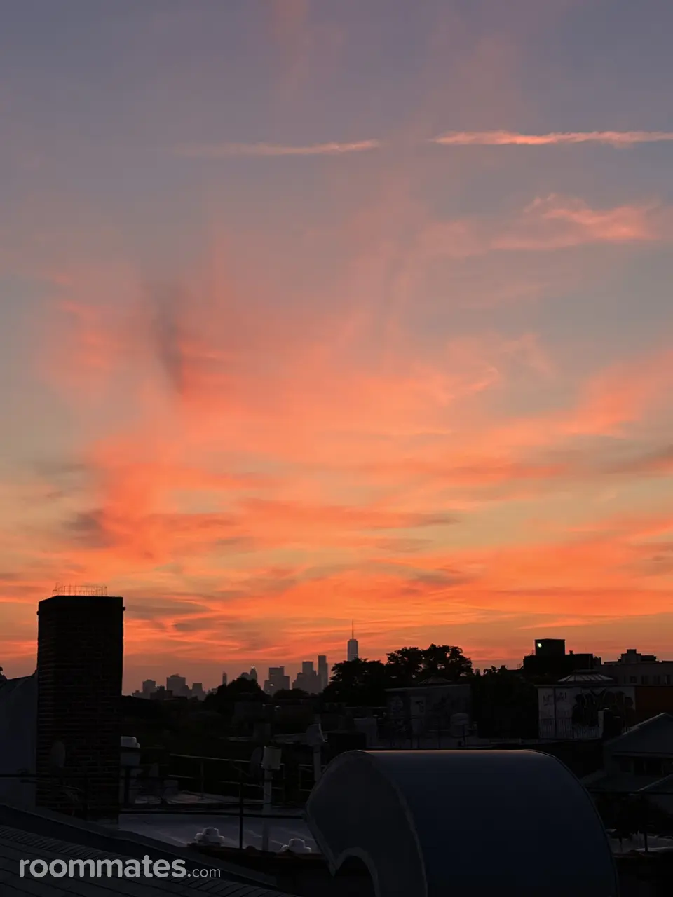 Profile photo 2 of 8