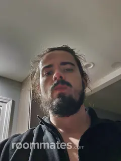 Roommate looking Oak Lawn, IL, $700