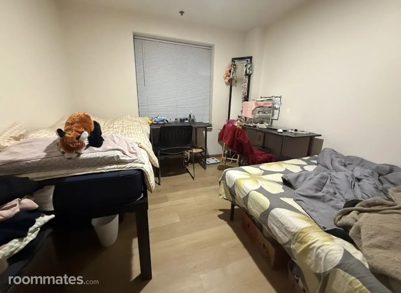 Profile photo 9 of 11